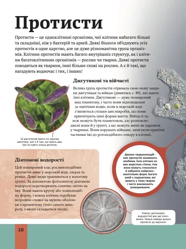 Дитяча енциклопедія біології — мініатюра 8