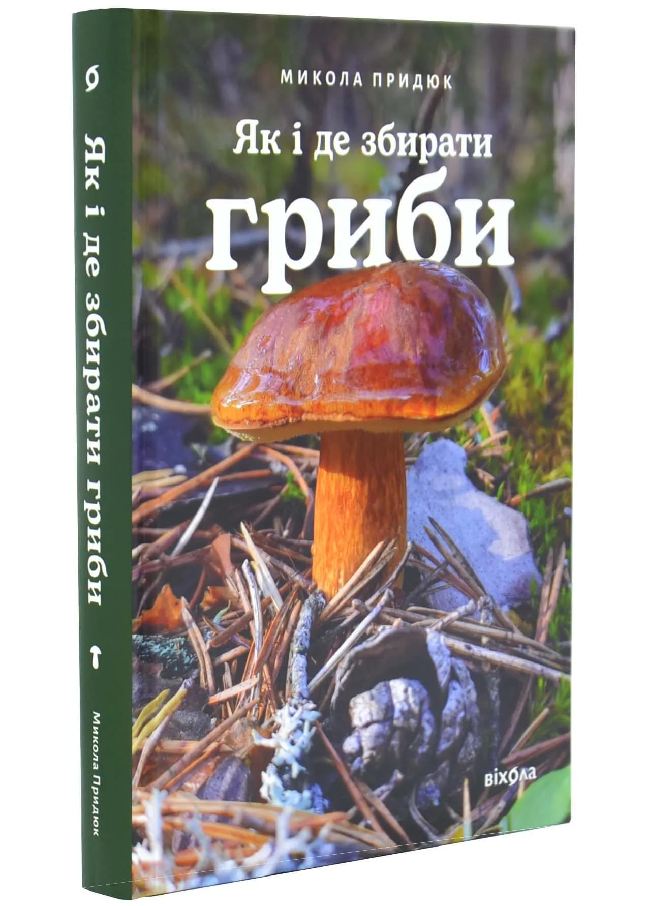 Як і де збирати гриби