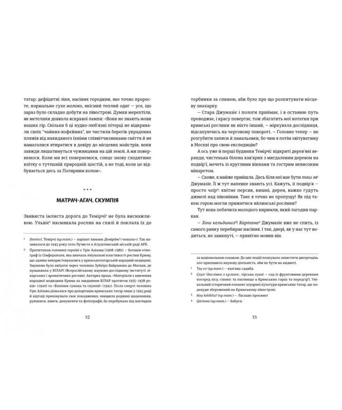 Кримський інжир. Бизимкілєр — мініатюра 5