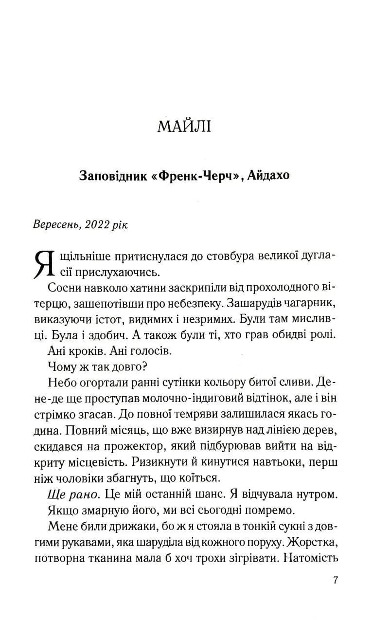 Перед світанком — мініатюра 2