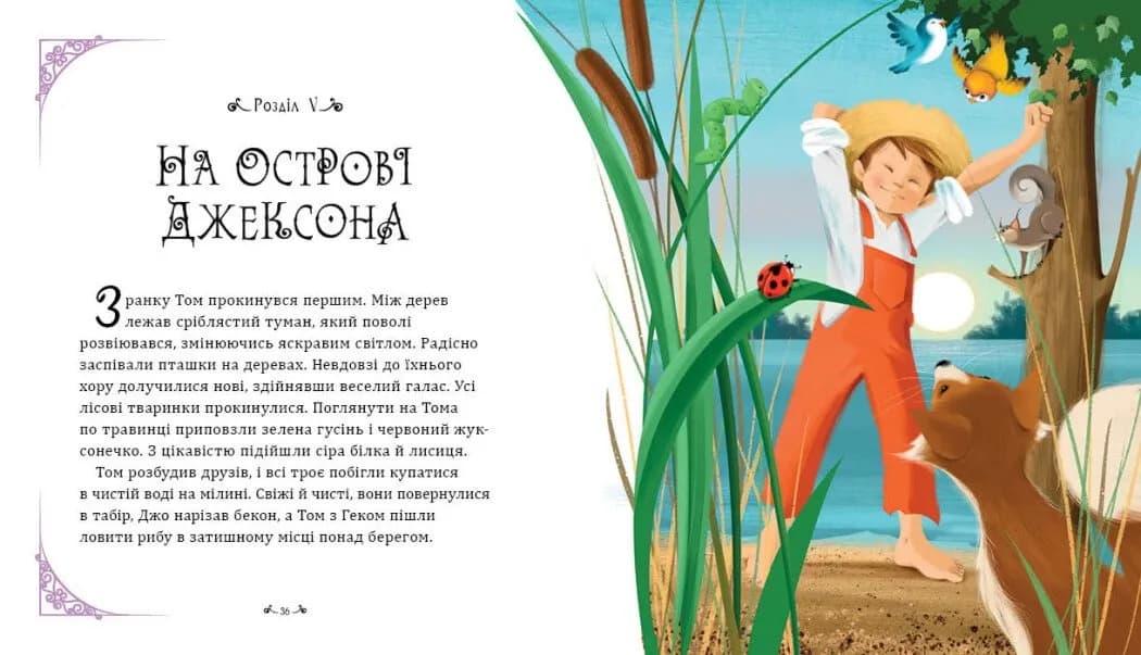 Пригоди Тома Соєра (ранок) — мініатюра 3