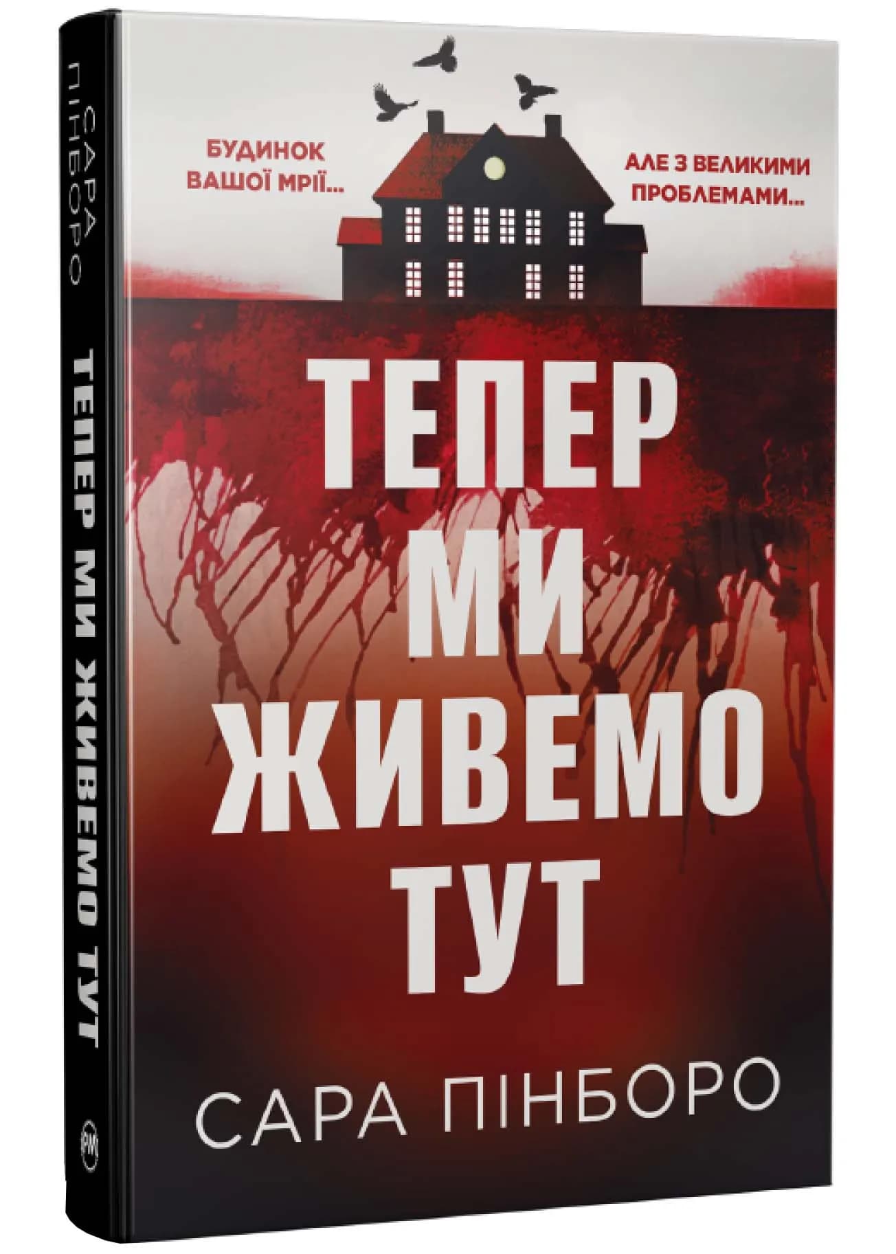 Тепер ми живемо тут — мініатюра 2