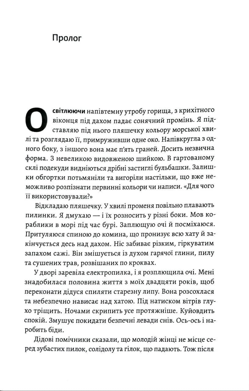 Тінь Малої Ведмедиці. Степовий роман — мініатюра 5