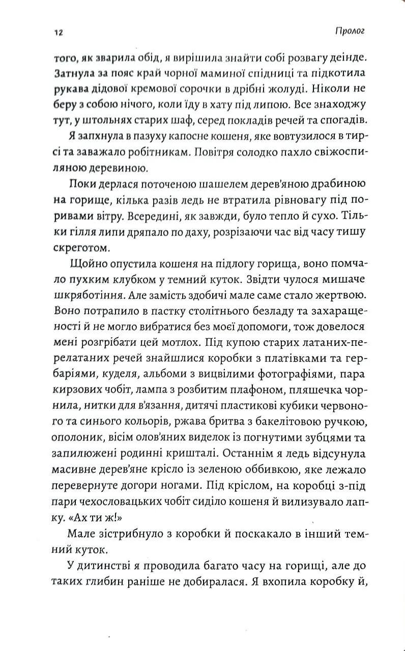 Тінь Малої Ведмедиці. Степовий роман — мініатюра 6