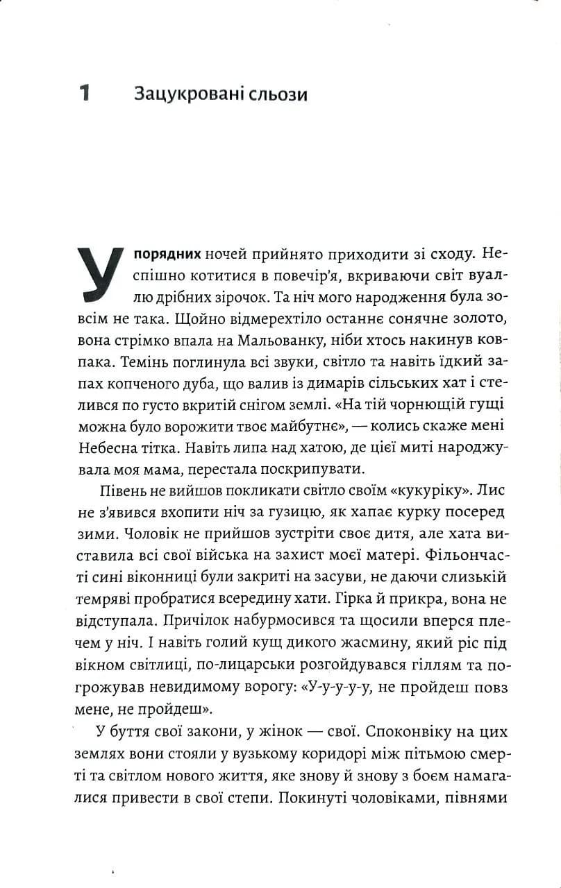 Тінь Малої Ведмедиці. Степовий роман — мініатюра 8