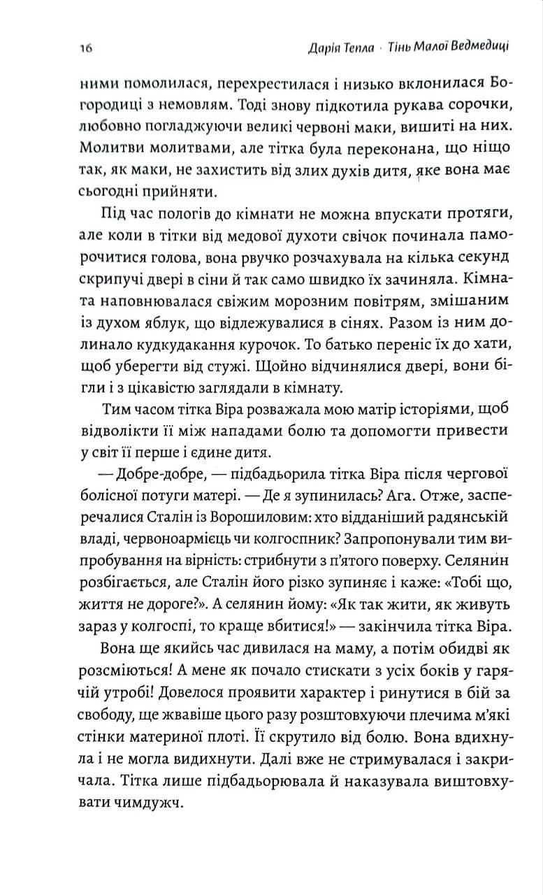 Тінь Малої Ведмедиці. Степовий роман — мініатюра 10