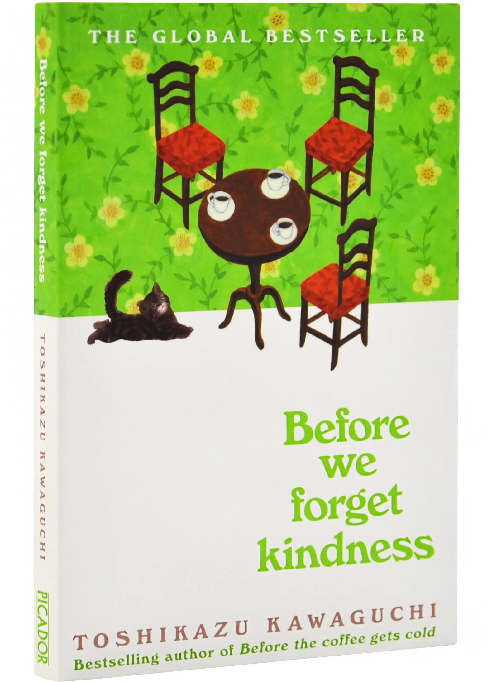 Before We Forget Kindness