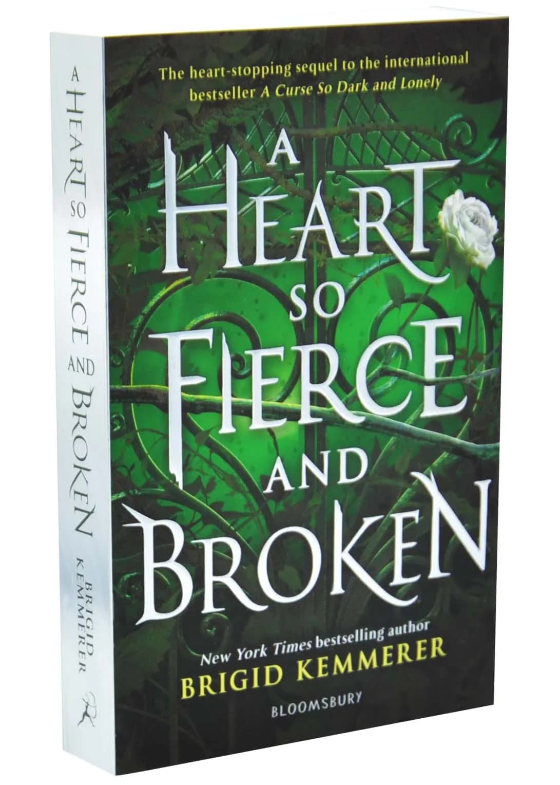 Heart So Fierce and Broken