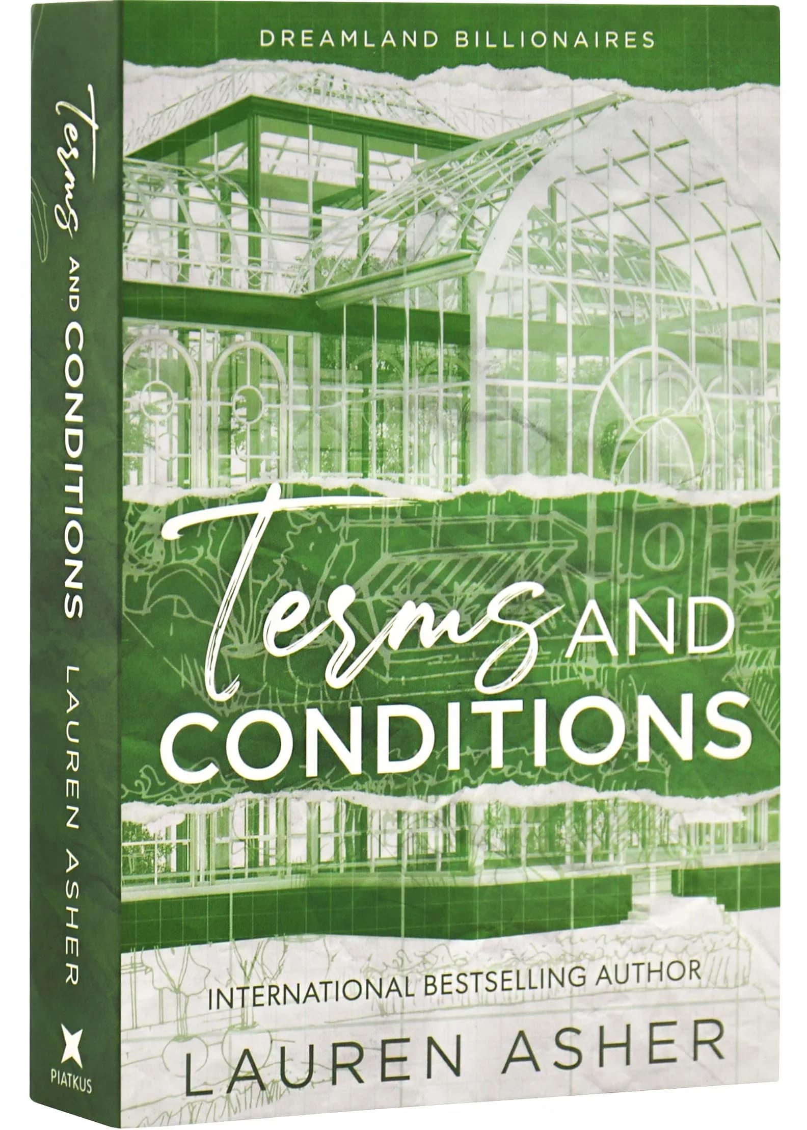 Terms and Conditions. Dreamland Billionaires. Book 2