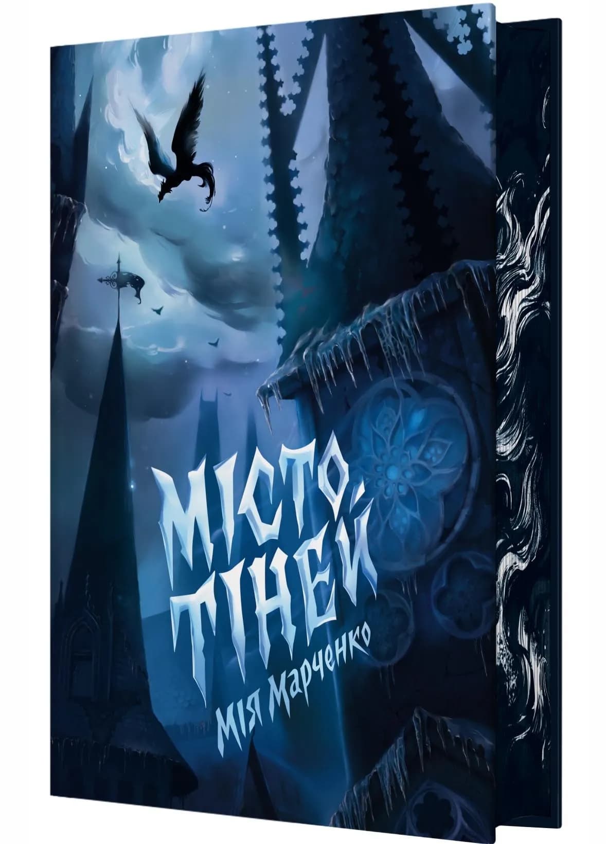 Місто тіней (з ілюстрованим зрізом)